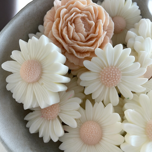 Natural Soy Wax Daisy Wax Melts